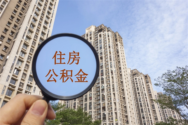 沛县怎么把公积金全部取出来（如何将公积金全部取出）